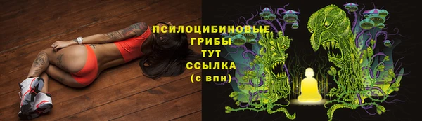 бошки Белоозёрский