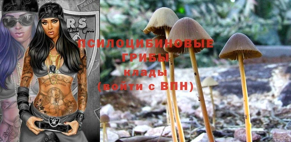скорость Белокуриха