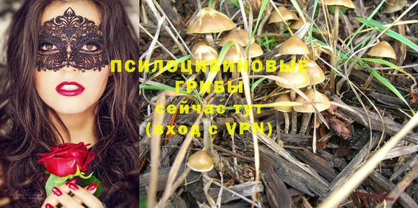 бошки Белоозёрский