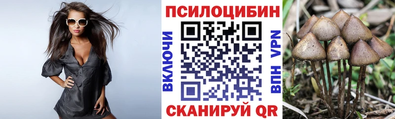 мега ссылка  как найти закладки  Гусь-Хрустальный  Галлюциногенные грибы ЛСД 